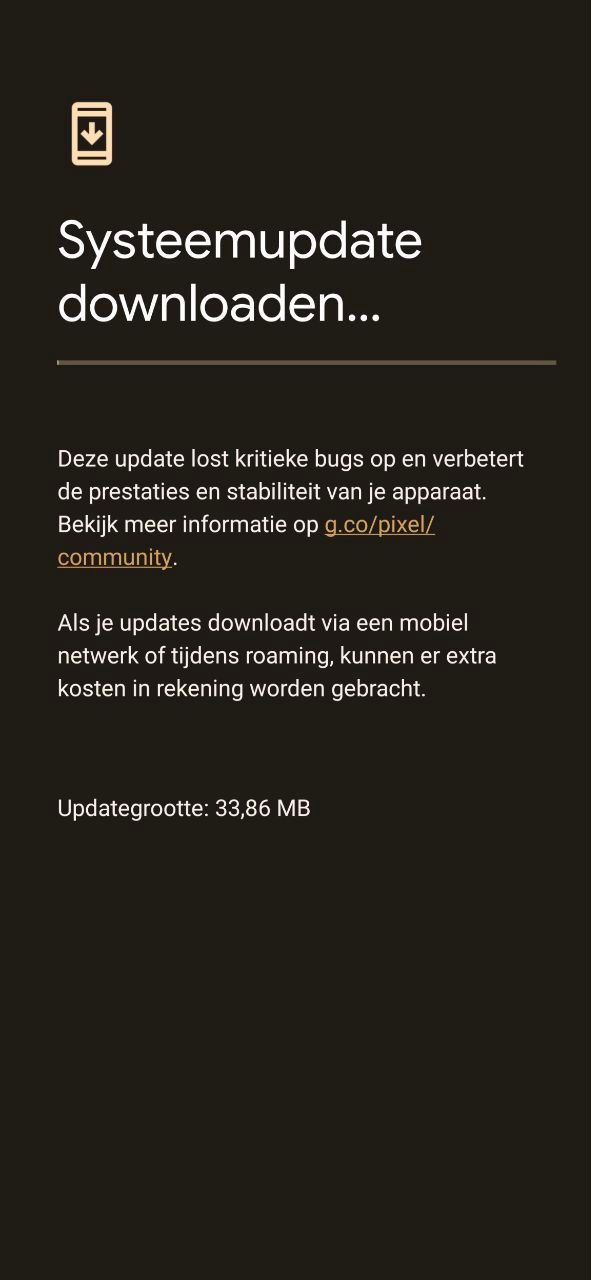 Beveiligingsupdate op de Pixel 6 Pro (Bedankt Ad!)