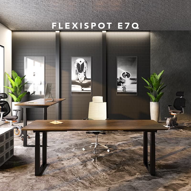A Flexispot sit-stand desk is affordable and gives more pleasure in your work (adv)