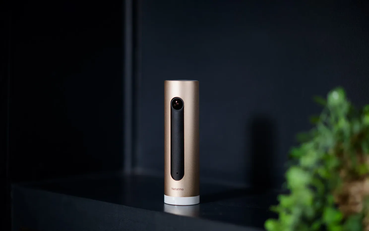 AW Summervibes Dag 3, win de Netatmo Slimme Indoor Camera