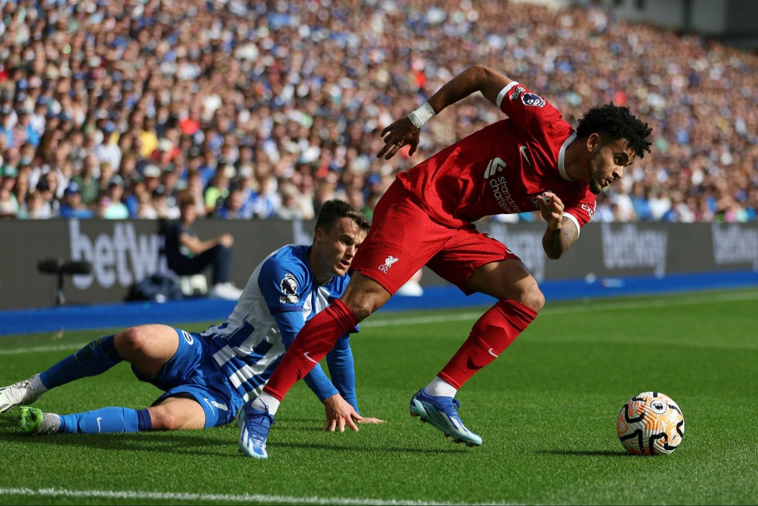 luis diaz liverpool brighton premier league