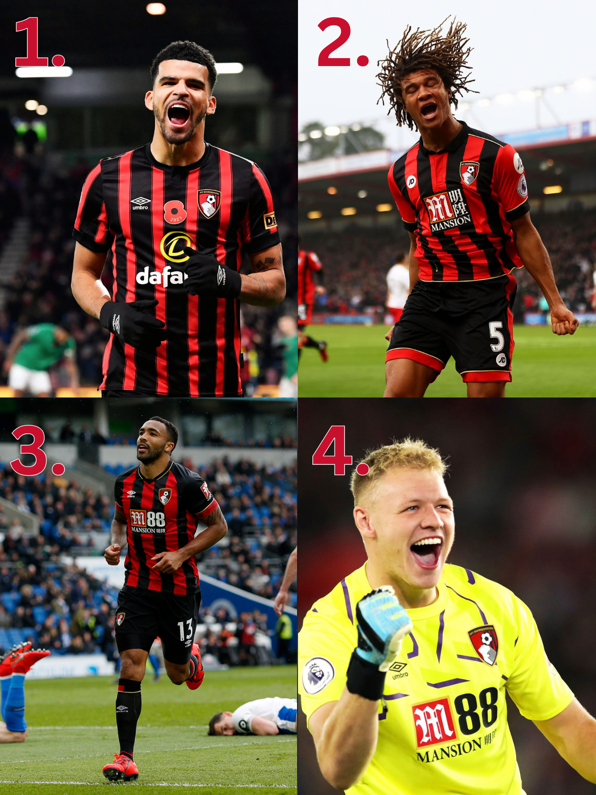 dominic solanke nathan ake callum wilson aaron ramsdale top four rirchard hughes bournemouth signings