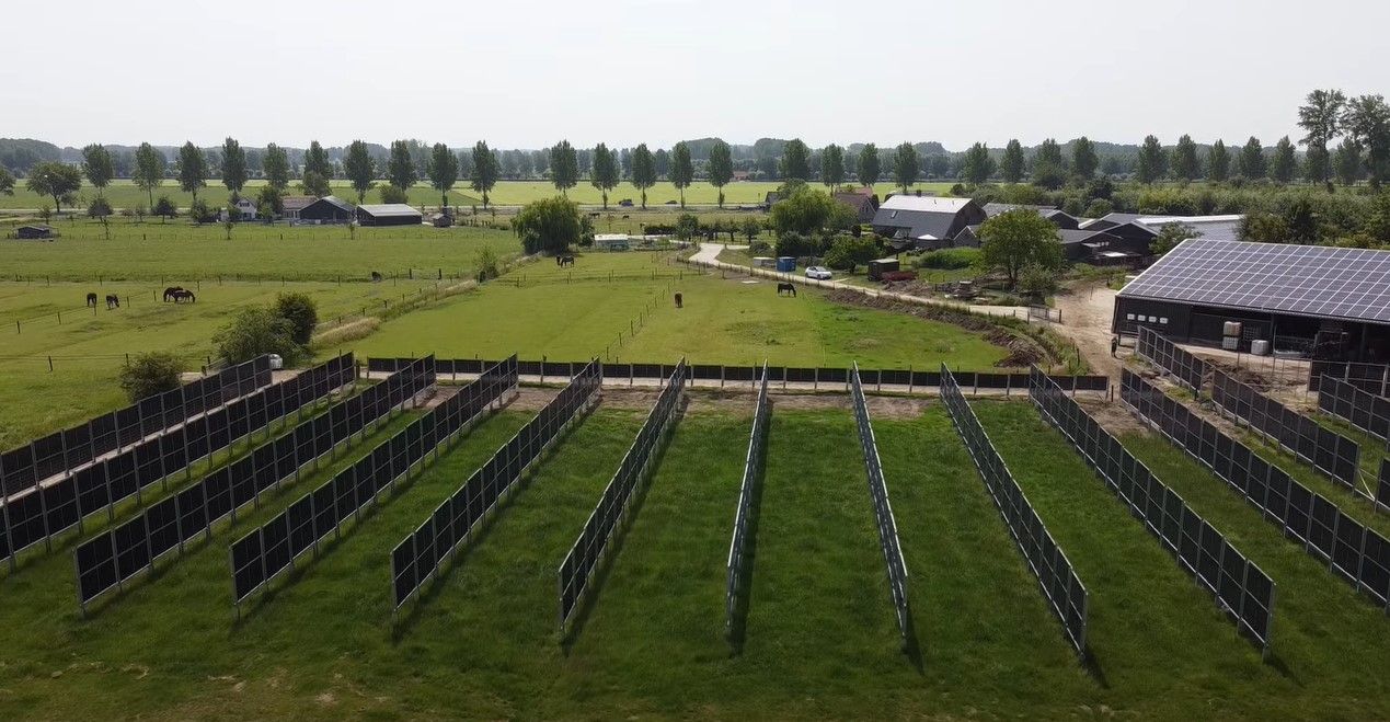 Dit zijn de eerste verticale zonnepanelen op landbouwgrond in Nederland