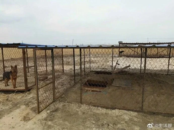 Chinese politie vindt illegale Bitcoin (BTC) miners in begraafplaats