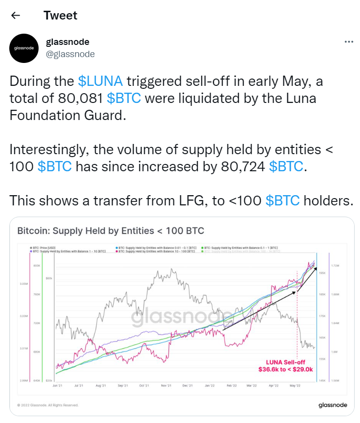De 80.000 bitcoin van Luna Foundation Guard is door kleine whales opgekocht