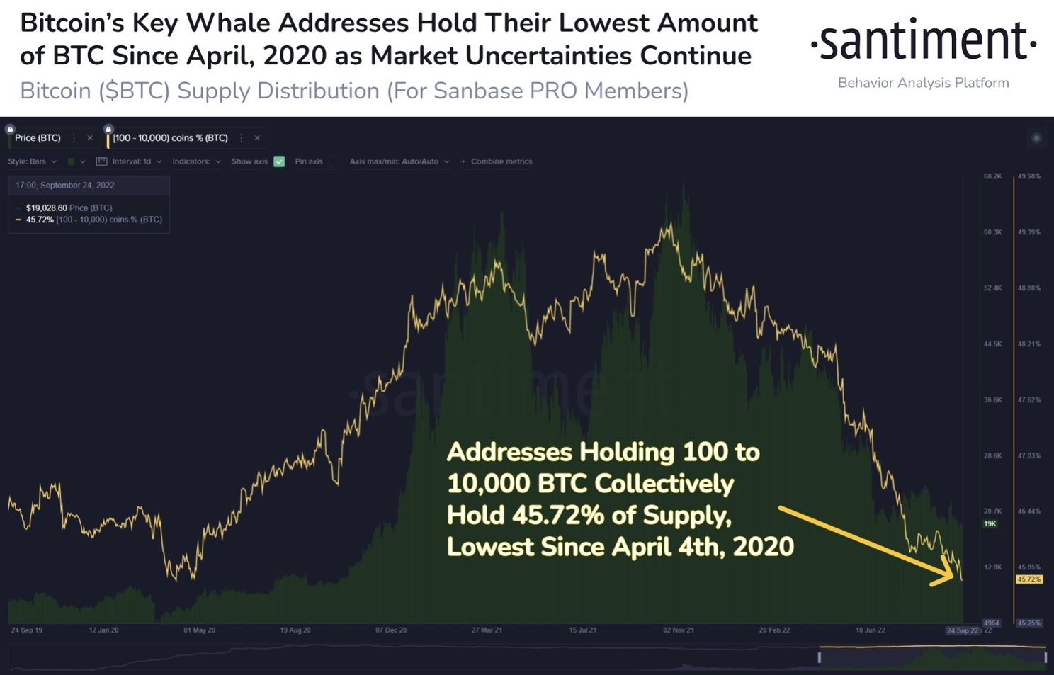 Whales nemen kleiner deel van álle bitcoin op zich