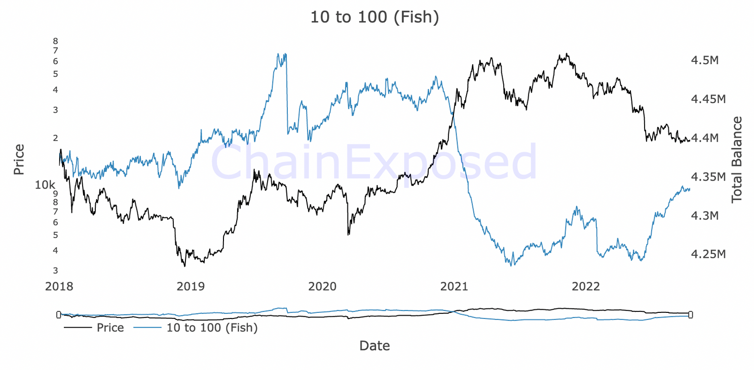 Zogenaamde 'fish' kopen vanaf voorlopige bodem in juni ruim 100.000 bitcoin