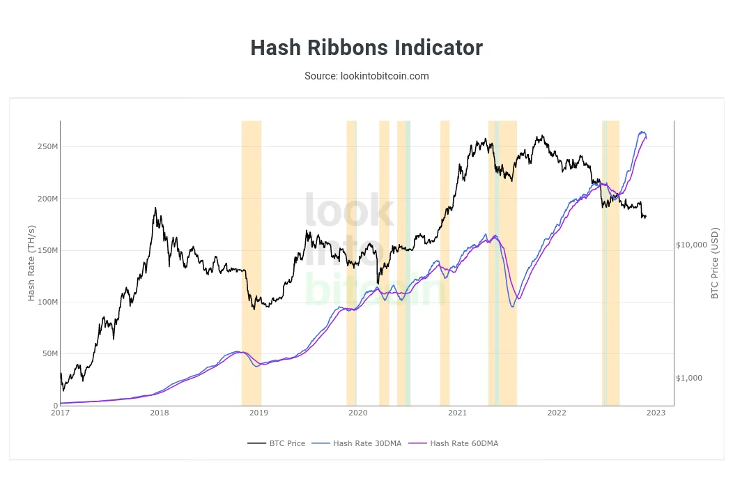 Bitcoin Hash Ribbons. Bron: LookIntoBitcoin