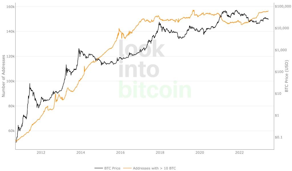 Bereiden investeerders zich voor op een nieuwe bullmarkt voor bitcoin?