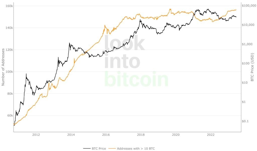 Bereiden investeerders zich voor op een nieuwe bullmarkt voor bitcoin?