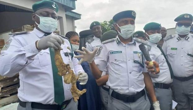 Kort, maar bizar: Nigeriaanse douane onderschept lading met... duizenden ezelpenissen