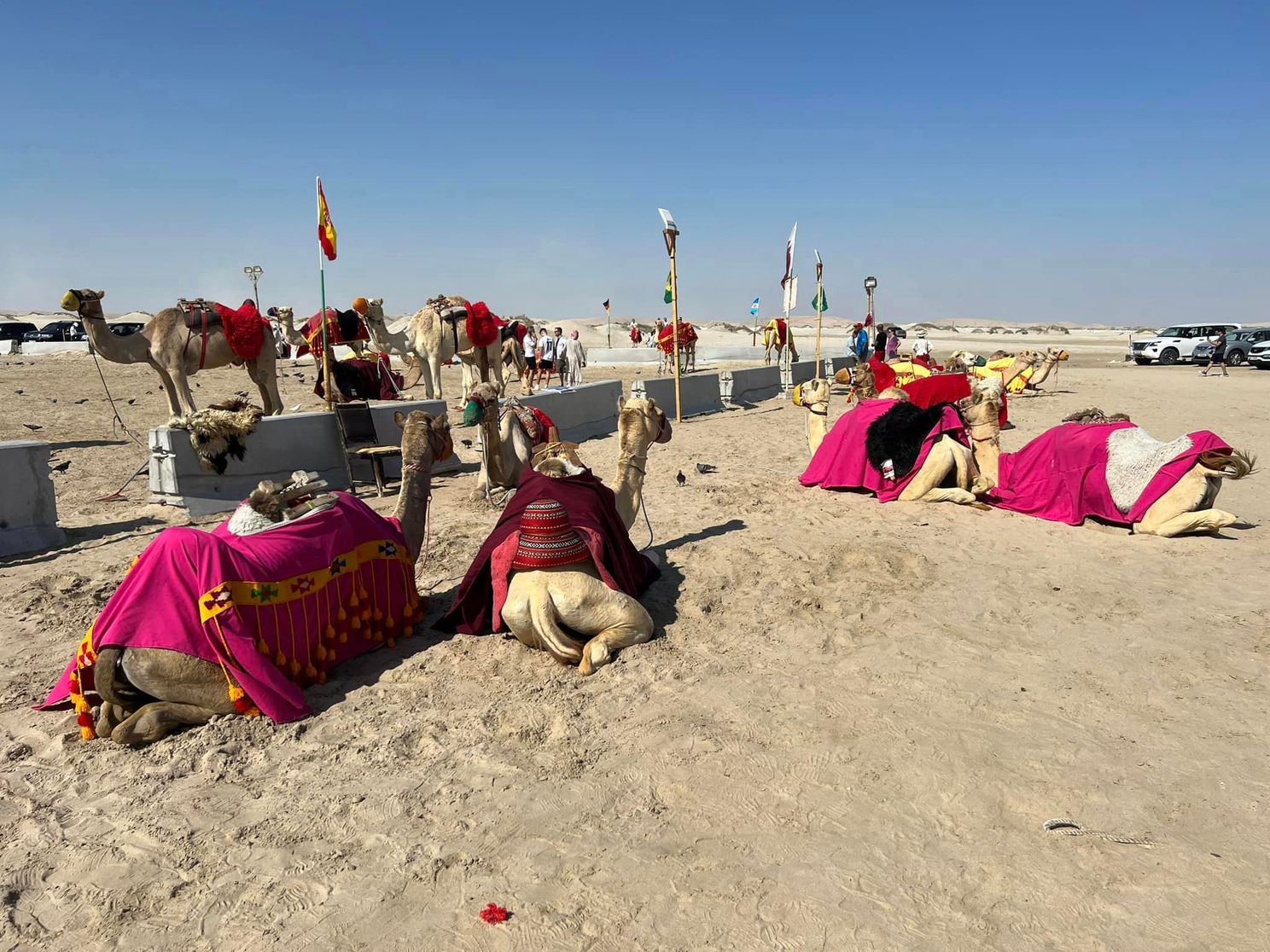 Duivel in Qatar (episode 3) - "Eerst jeeps en kamelen, maar dan... genieten!"