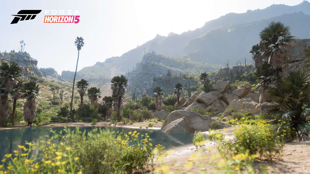 Review: Forza Horizon 5 – De beste arcade racegame!