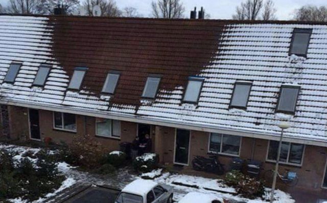 Wietkwekers lopen tegen de lamp of beter de sneeuw ...