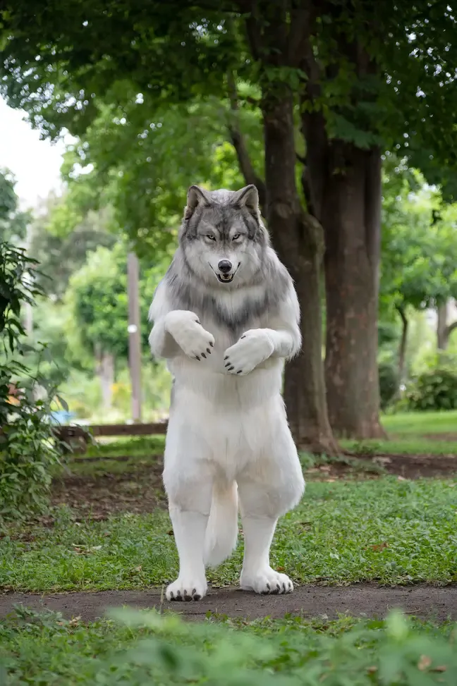 Na de hond, nu de wolf... Man geeft meer dan 20.000 euro uit om een levensechte wolf te worden