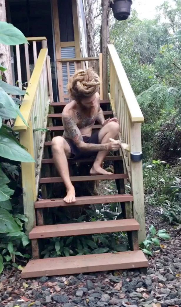 Robert quits his job and goes to live in a cabin in the woods: "I'm off the Tarzan grid"