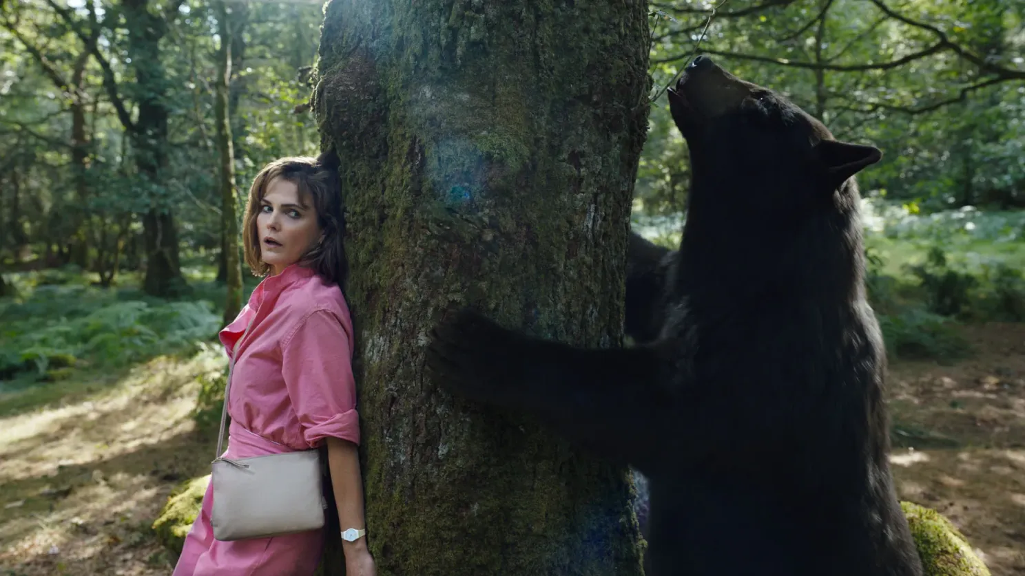 Het waargebeurde verhaal achter 'Cocaine Bear', de veelbesproken horrorfilm op Netflix