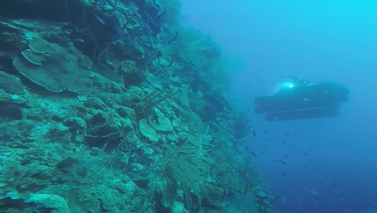 Duikers doen angstaanjagende ontdekking na het bereiken van de bodem van 120 meter diepe 'Great Blue Hole'