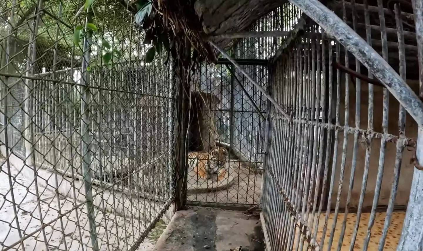 Urban explorer bezoekt verlaten dierentuin en schrikt zich rot wanneer hij een steen in een vijver gooit