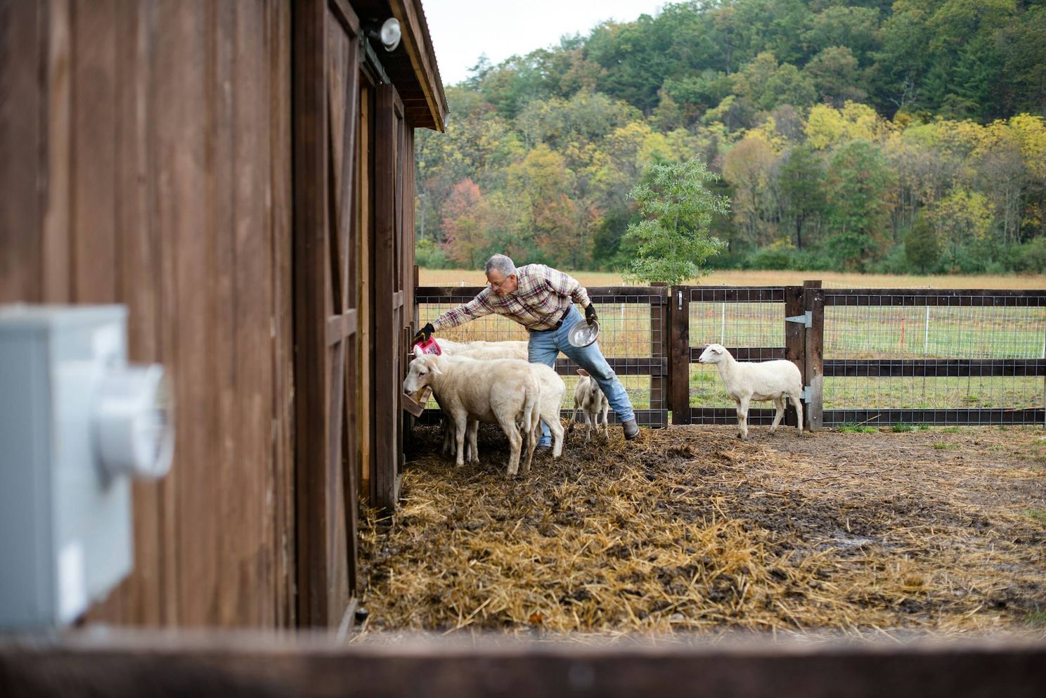 Dit is het gemiddelde loon van een Vlaamse boer: "84 uur per week werken, maar netto blijft er te weinig over"