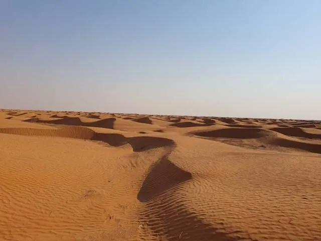 Saharazand op je zonnepanelen: hoeveel rendement verlies je echt en is het schadelijk?