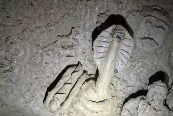 Twee mannen dalen af in griezeligste grot ter wereld genaamd 'Hell Hole Cave', en zijn verbijsterd over wat ze daar vinden