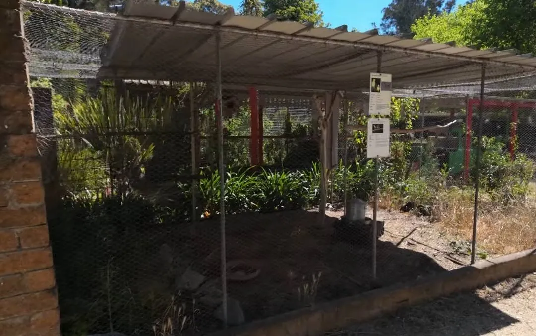 Man verkent verlaten dierentuin en is in shock door wat hij daar vindt: "Dit is te gek voor woorden!"