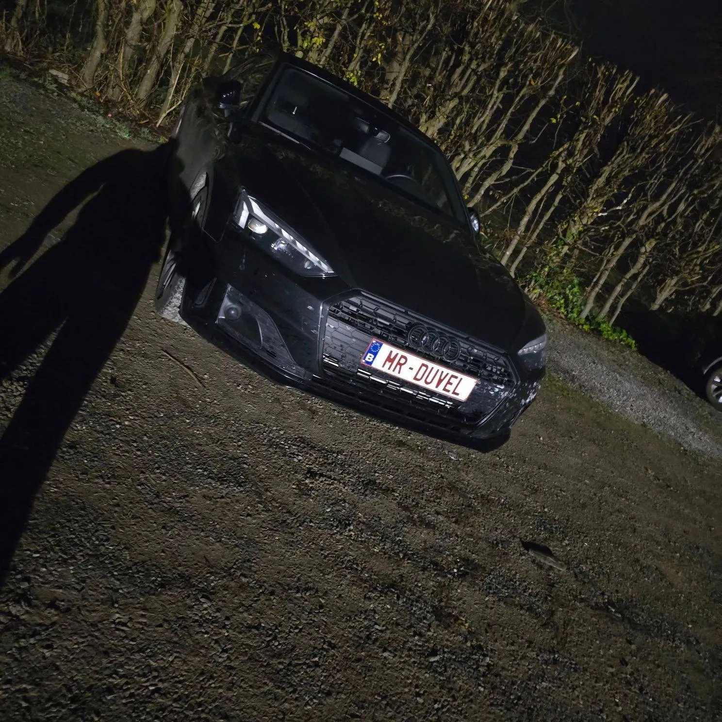 Dankzij de gepersonaliseerde nummerplaat van deze Vlaamse Audi-eigenaar weet je wat zijn favoriete bier is