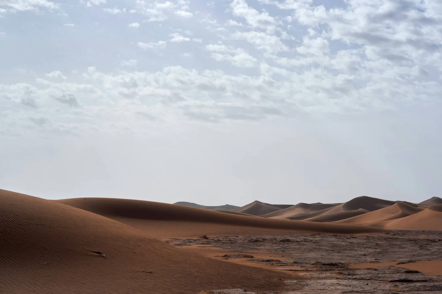 'Levende Nostradamus' onthult angstaanjagende voorspelling voor 2026, en het ziet er héél slecht uit