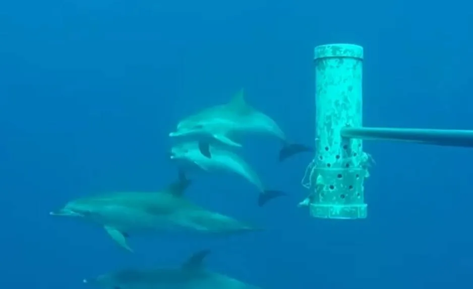 Schermopname_21-1-2026_165857_www.youtube.com