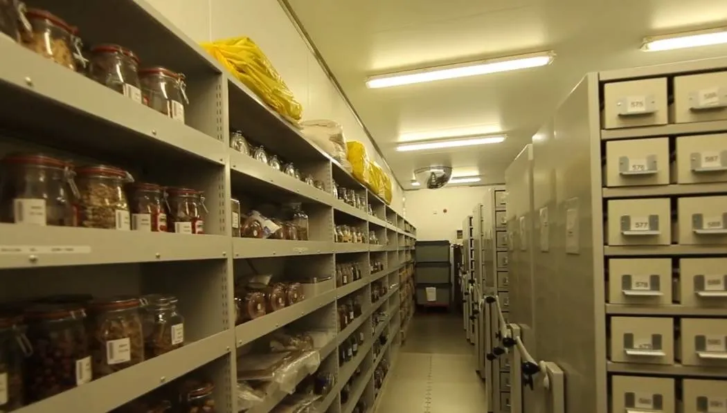 Schermopname_29-1-2026_93414_www.youtube.com