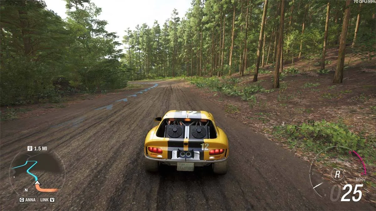 Forza Horizon 6 screenshot Rally
