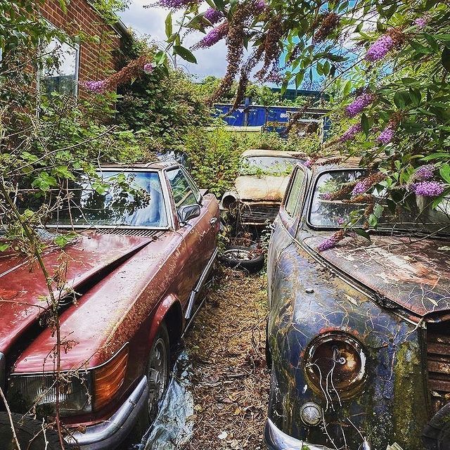 Deze barn finds lijken haast te mooi om waar te zijn!