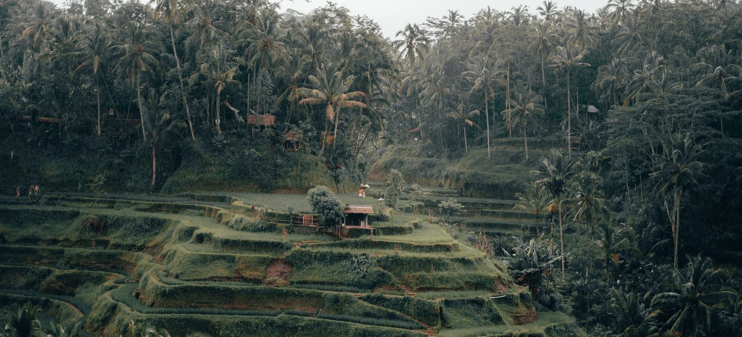 3 bestemmingen om je vreselijke winterdip te verslaan; ga erop uit!