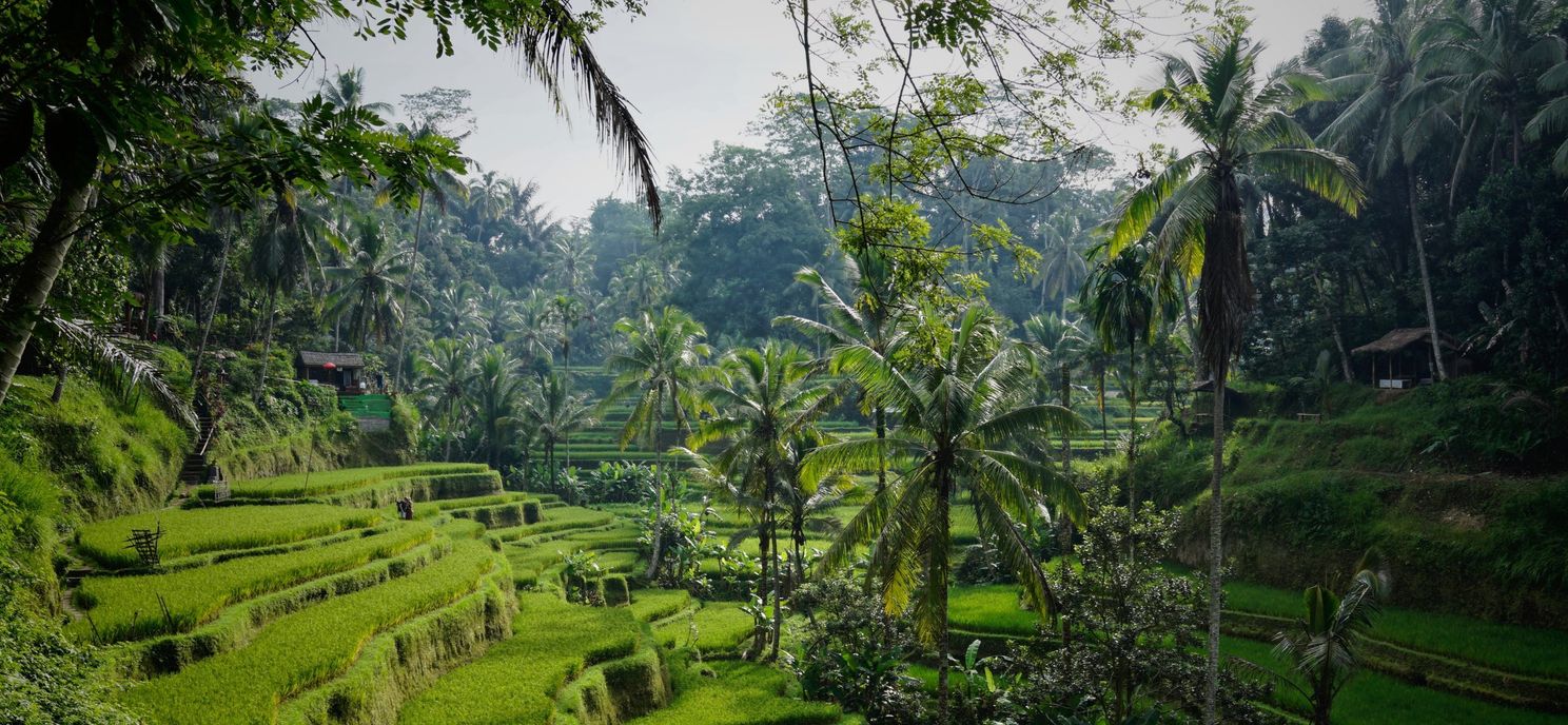 Top 5 remote working locations voor 2023!