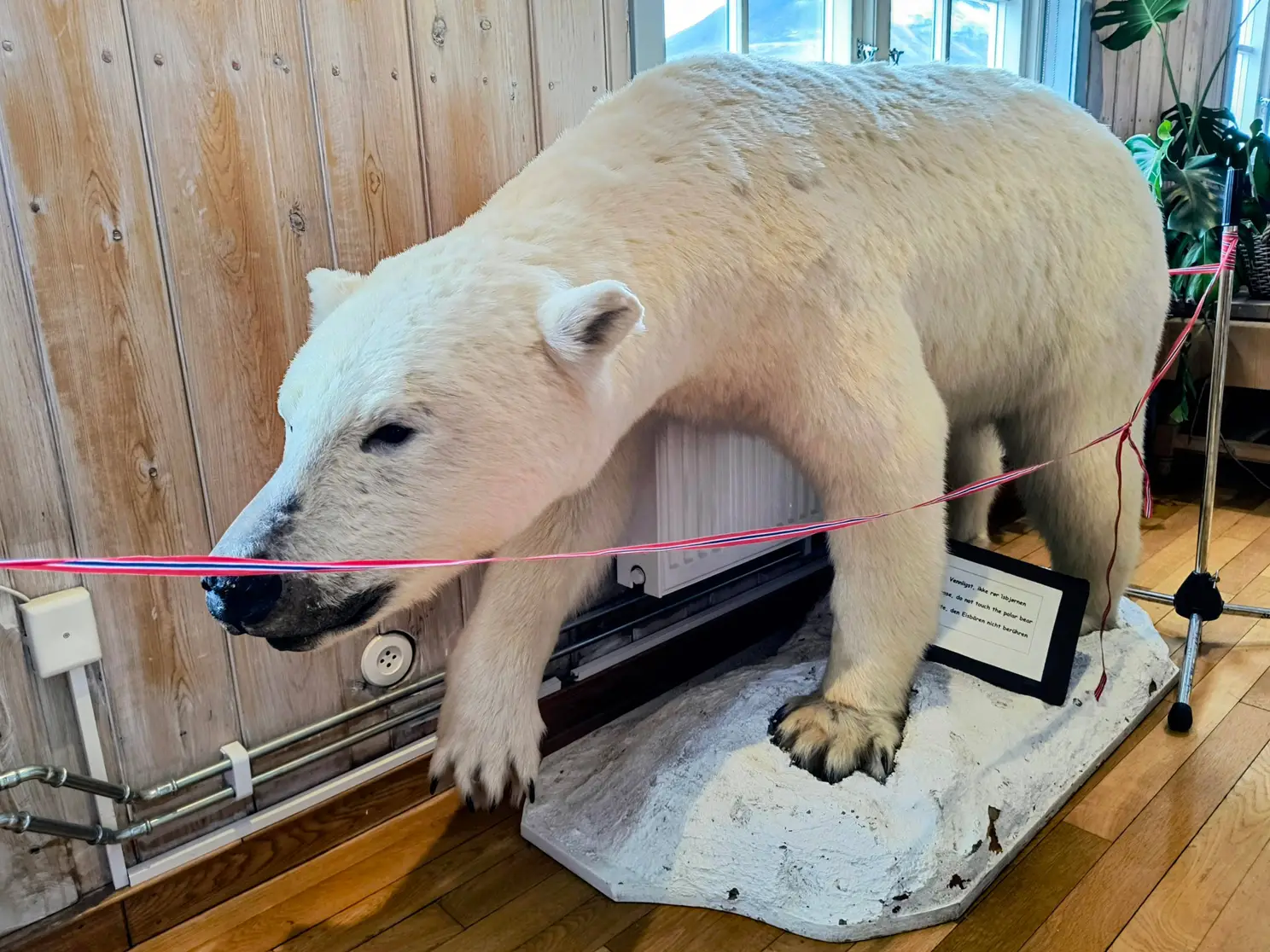 IMG_20260811_155848069_HDR (1)