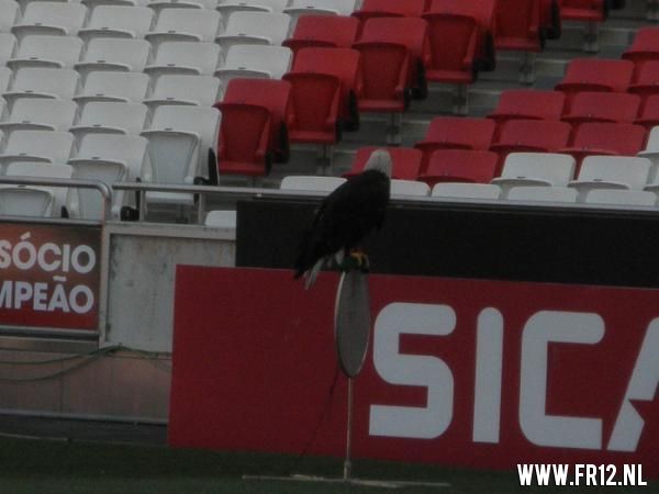 Trainingskamp Portugal