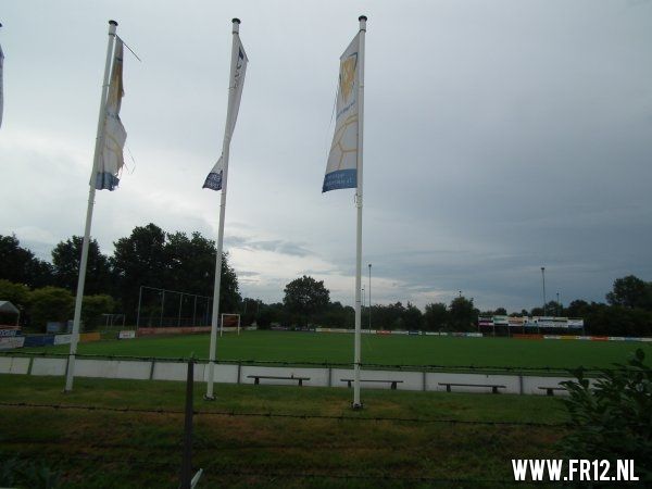 Heracles Almelo-Feyenoord