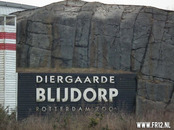Olli verkoop verslag
