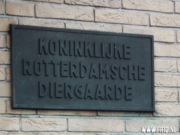 Olli verkoop verslag