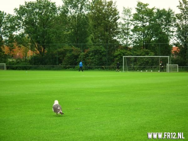 Training 30 juli