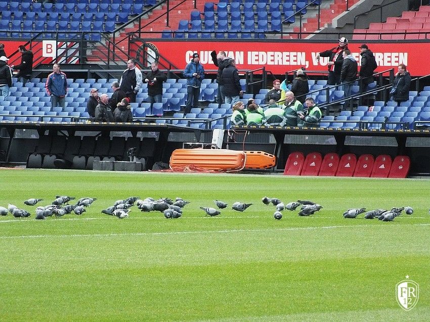 Feyenoord - Heracles