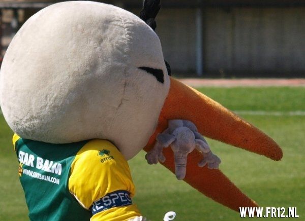 ADO Den haag- Feyenoord