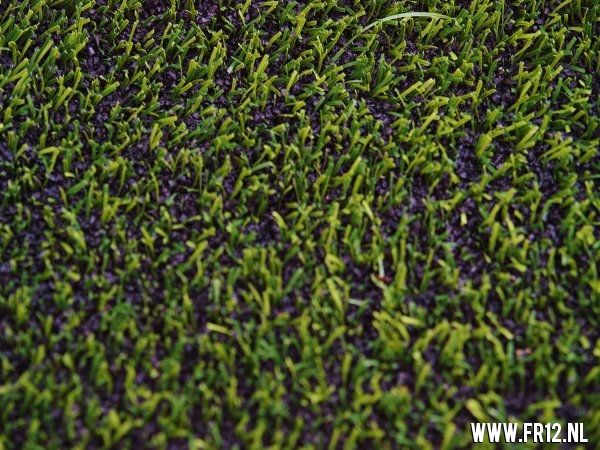 Barendrecht-Feyenoord