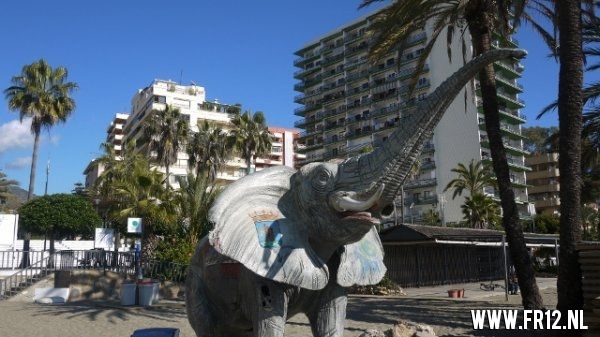 Feyenoord-Club Brugge in Marbella