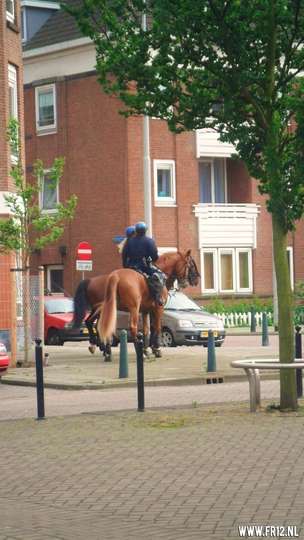 Bekerfinale beloften