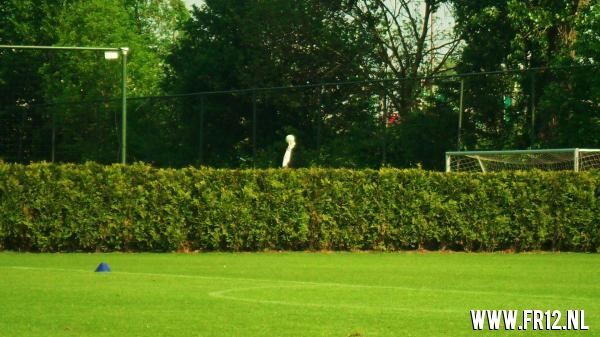 training 30-4-11