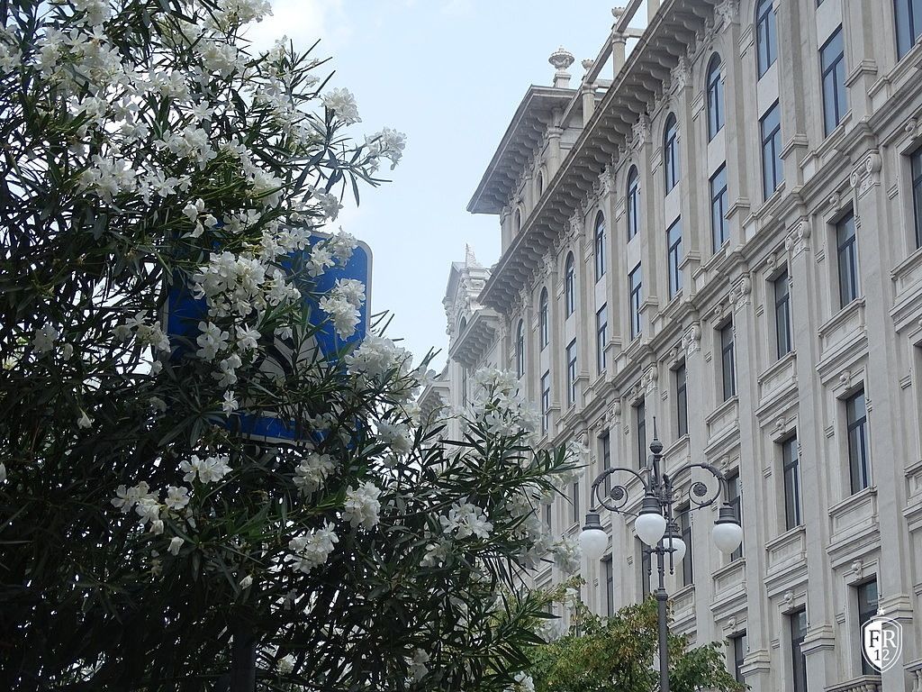 Terugblik Tbilisi