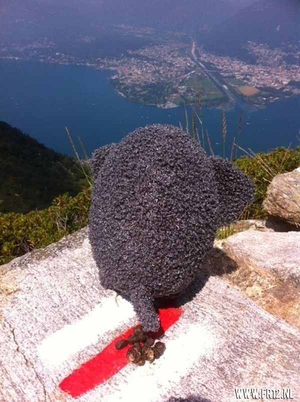 Vakantie foto 2013