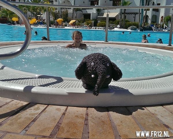 Vakantie foto 2013