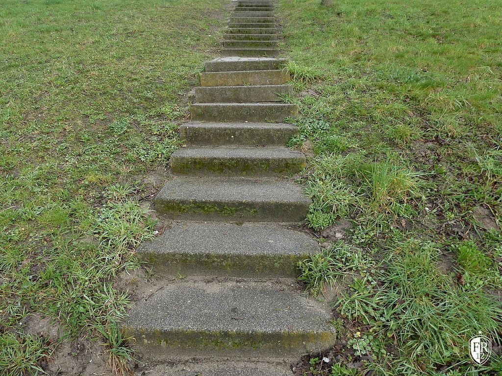 woensdagochtend training